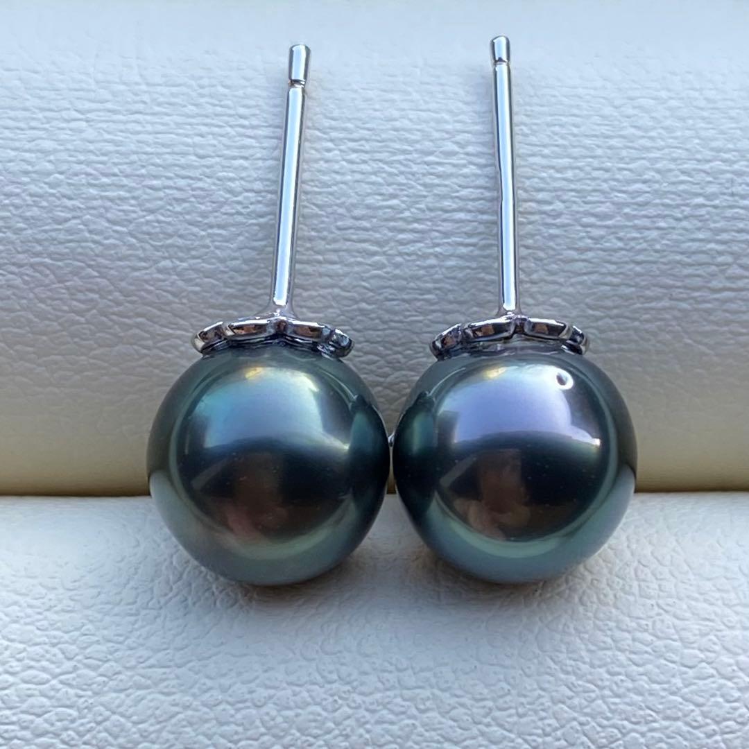 本真珠　南洋黒蝶真珠タヒチパール直結タイプピアス　8.8mmグリーンP1189