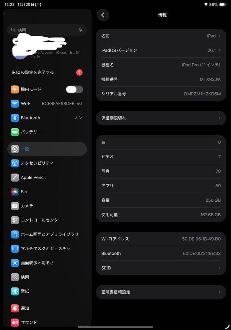 【美品】iPad Pro 11インチ 256GB バッテリー良好
