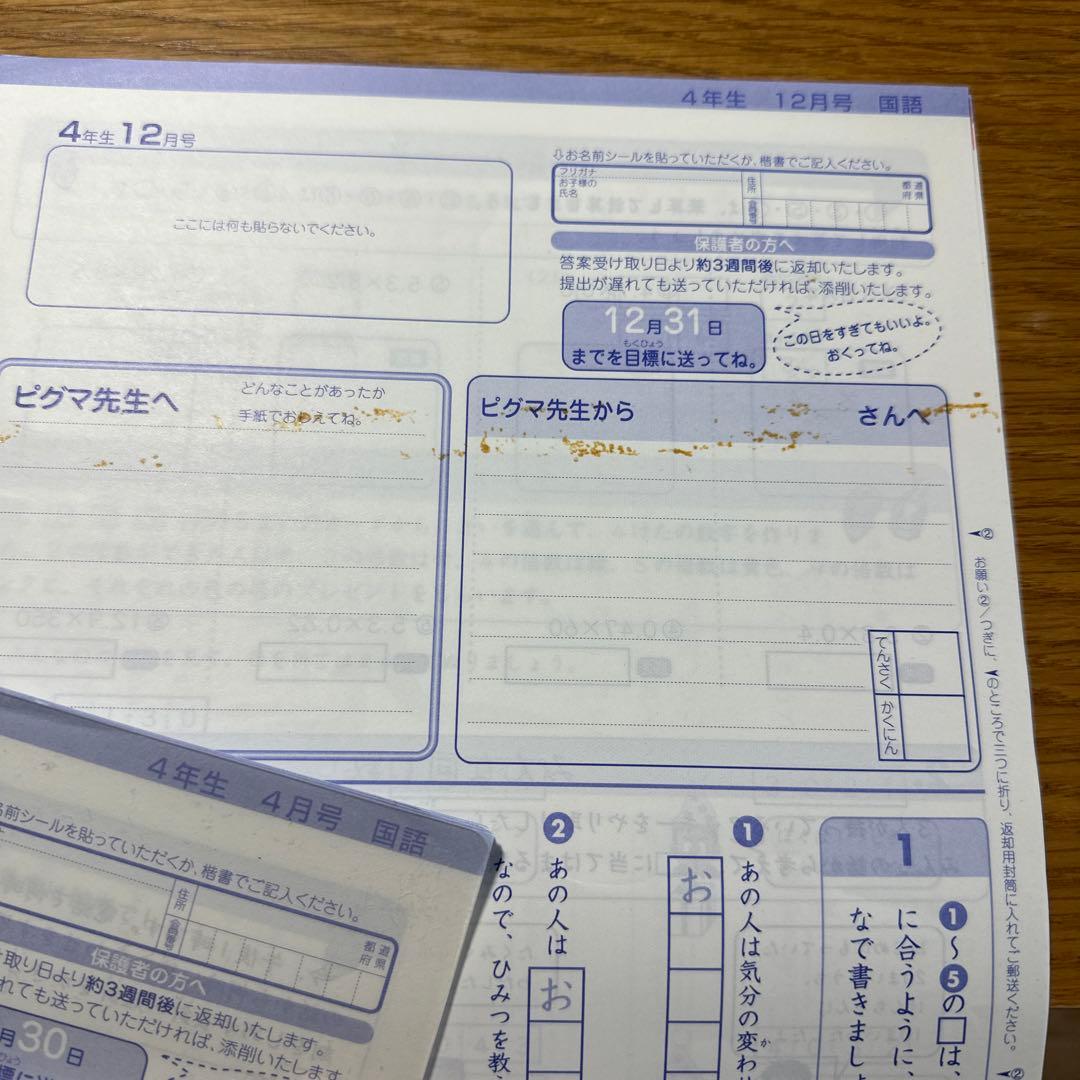 SAPIX ピグマシリーズ 4年生 1年分（4月〜3月）