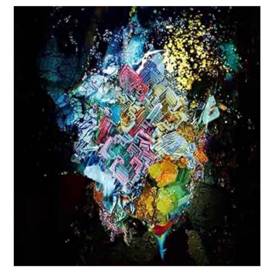 ハムマリボーさん専用