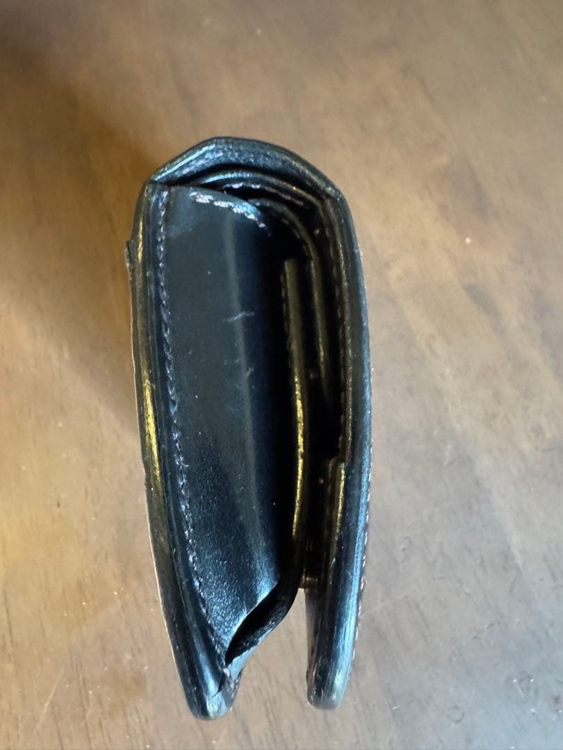 ワイルドスワンズ　クロコPARM