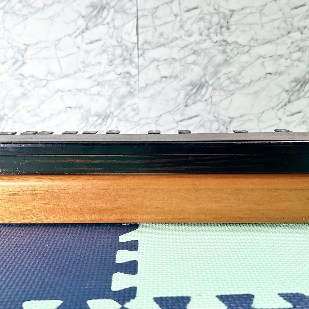 全音 大正琴 冴E ZEN-ON ゼンオン サエE 大正琴 弦楽器 和楽器 音楽