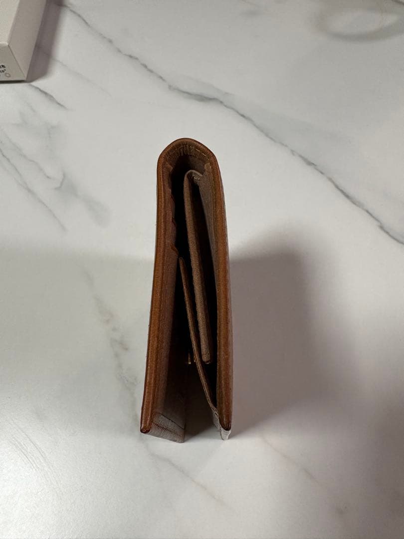 lemma マリスコ　ギザ