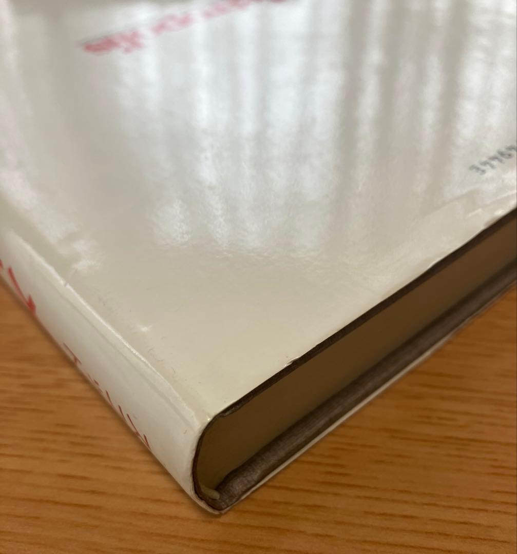 メトロポリス A.J.スコット 古今書院 水岡不二雄