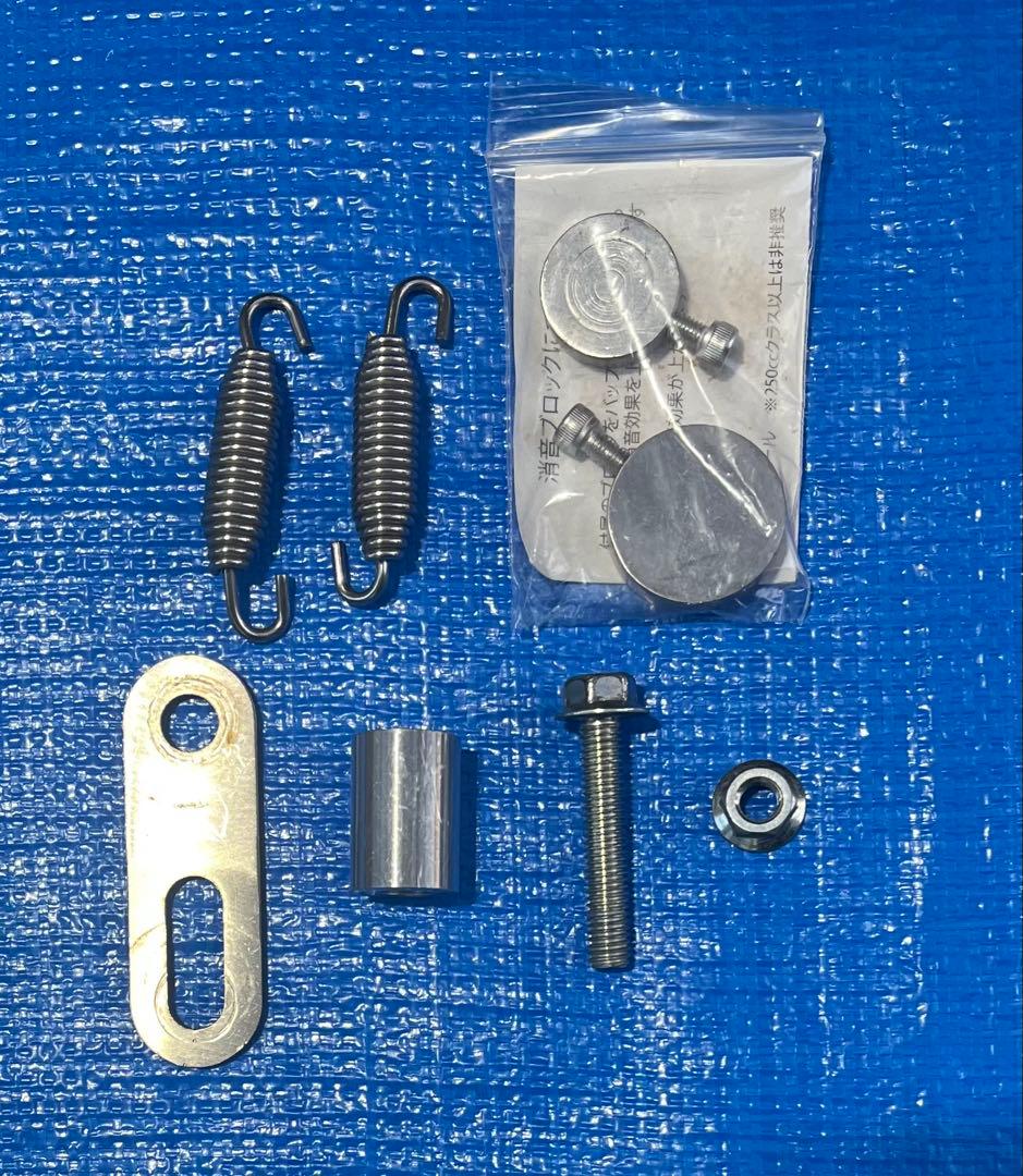 太*り様 NINJA1000SX ツインエンド　チタン　スリップオンマフラー