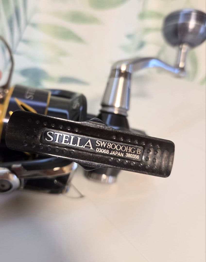 シマノ ステラSW8000 HG リール