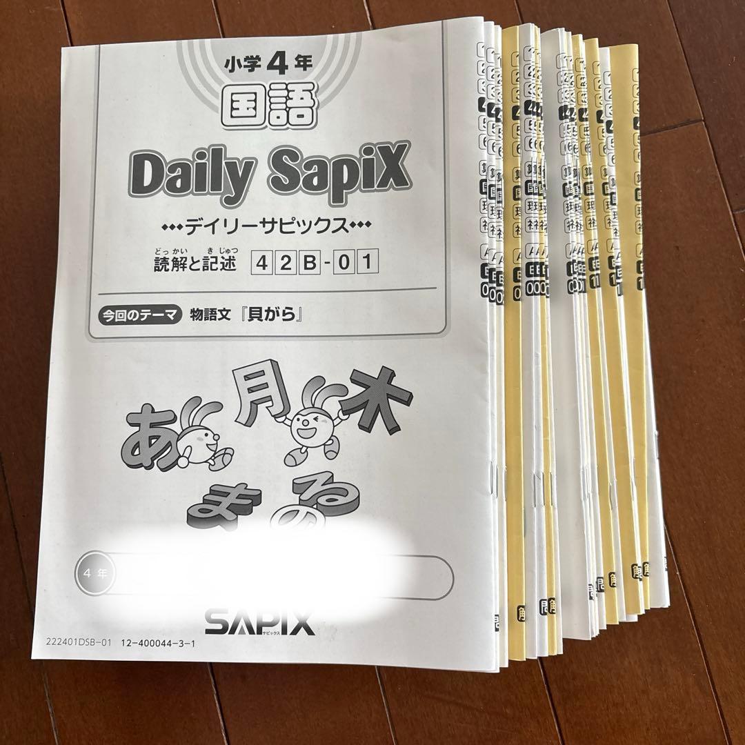 2022年度デイリーサピックス国語小学4年