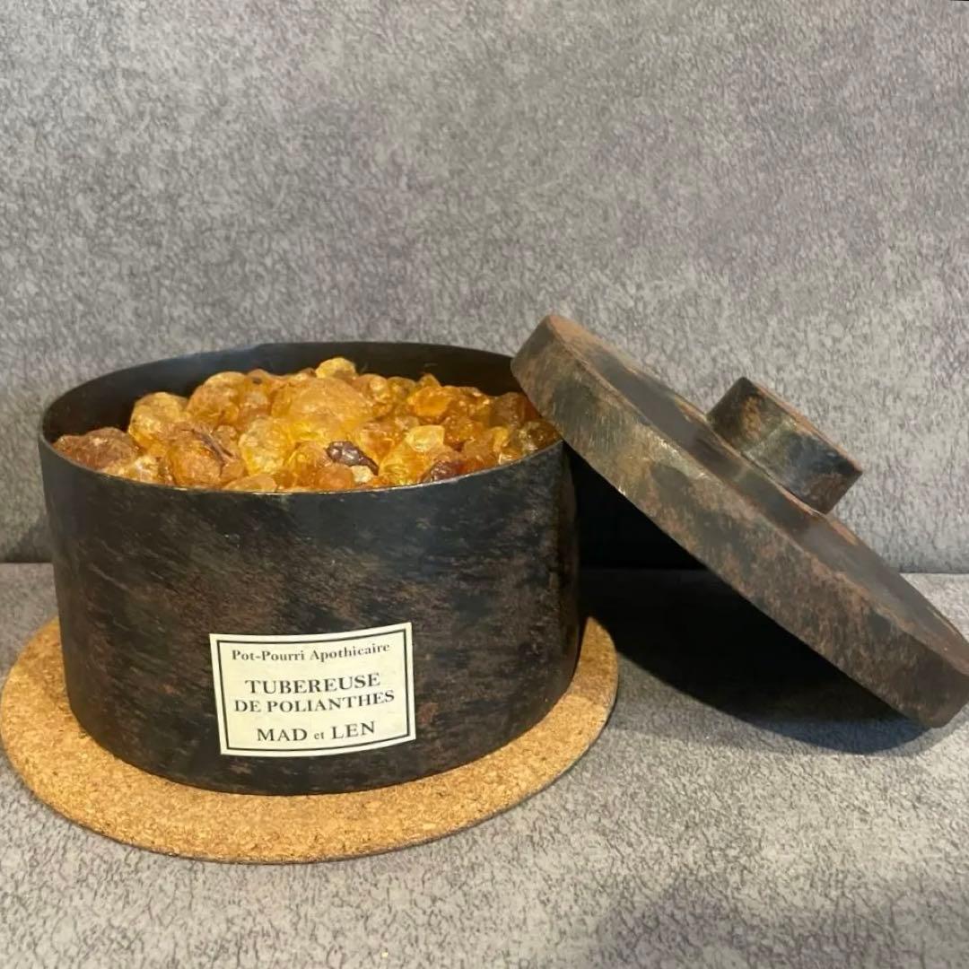 MAD et LEN tubereuse de polianthesマッドエレン