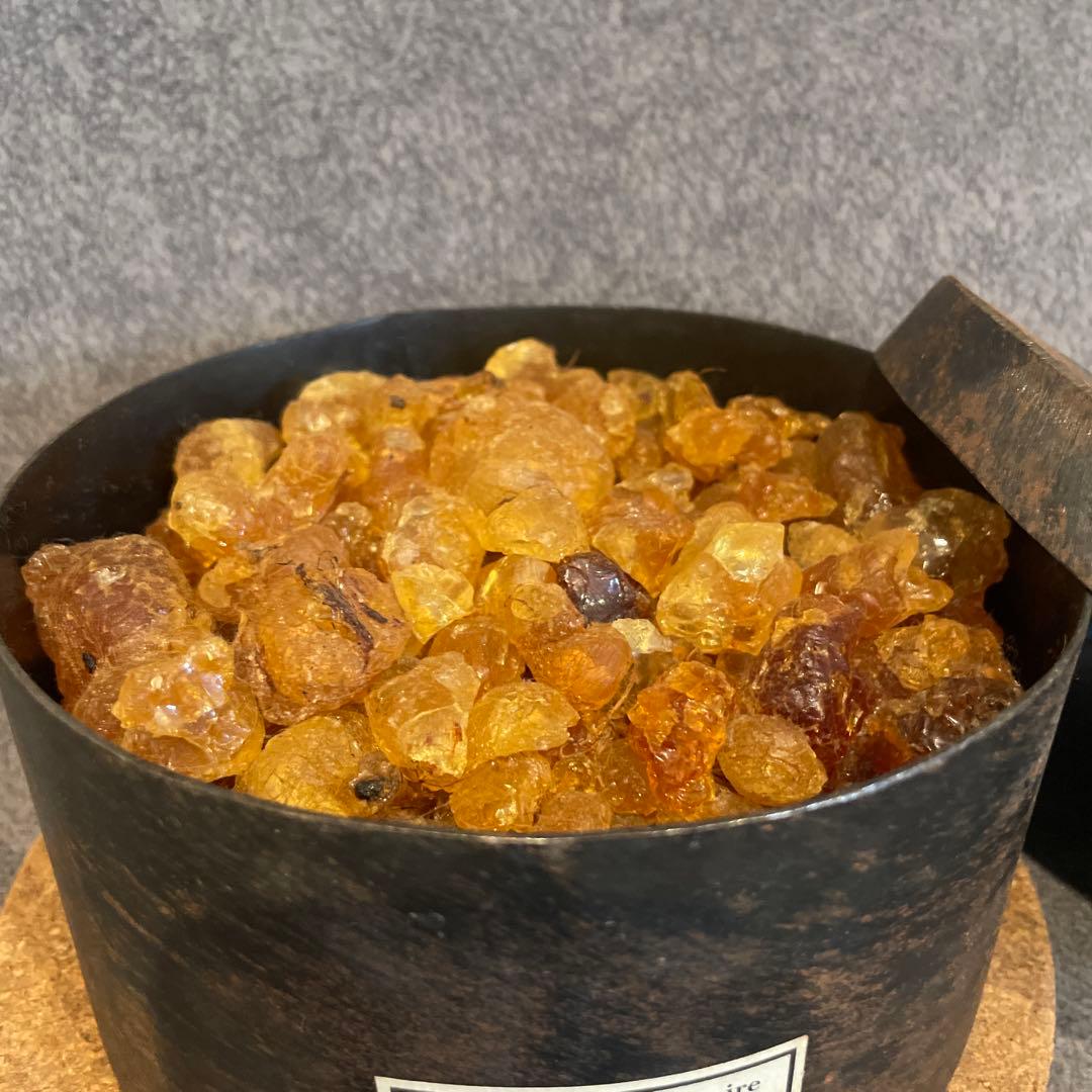 MAD et LEN tubereuse de polianthesマッドエレン