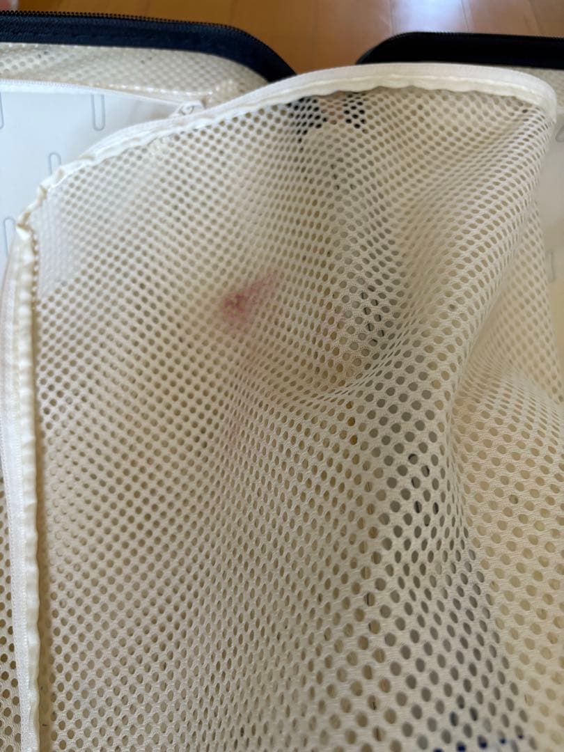 【SALSA AIR】 マルチホイール　63L キャララホワイト