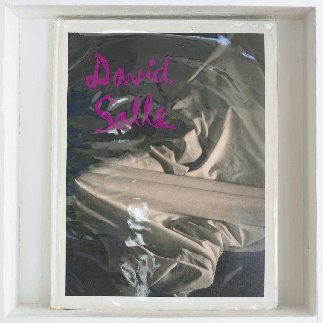 デヴィッド・サーレ David Salle: Photographs 1991