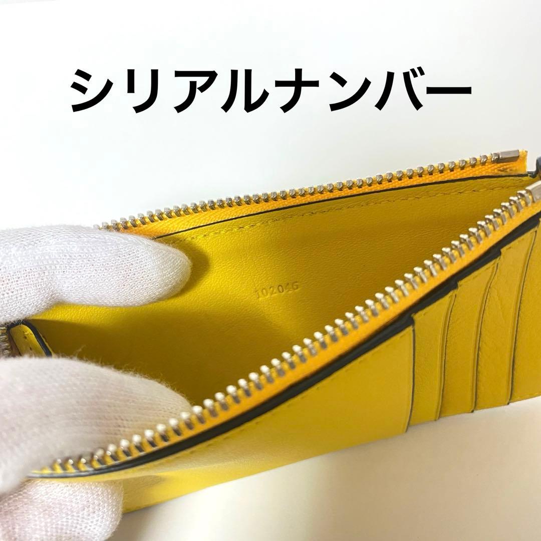 【極美品】ロエベ LOEWE ケース フラグメントケース パスケース