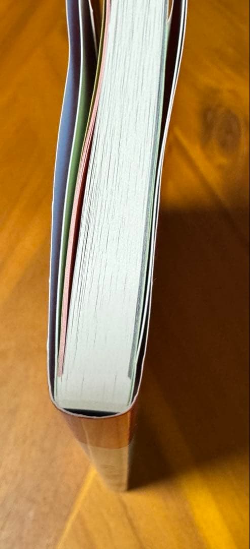 森雅之作品集　僕の金魚　限定200部　まんだらけ刊　2017年発刊