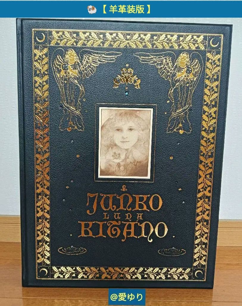 特大♦豪華限定♦羊革装版『きたのじゅんこ自選画集』天然宝石１５石装飾✨豪華附録付