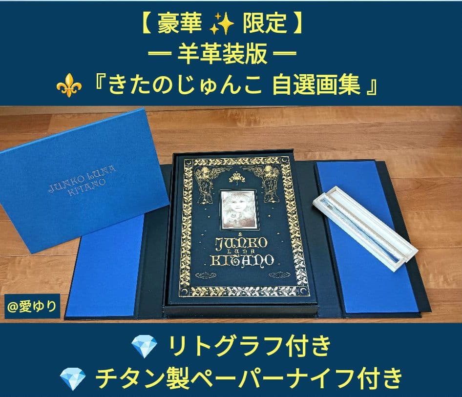 特大♦豪華限定♦羊革装版『きたのじゅんこ自選画集』天然宝石１５石装飾✨豪華附録付