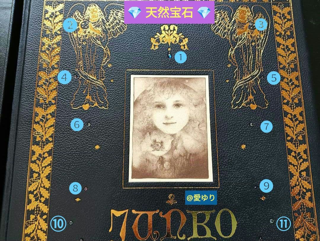 特大♦豪華限定♦羊革装版『きたのじゅんこ自選画集』天然宝石１５石装飾✨豪華附録付