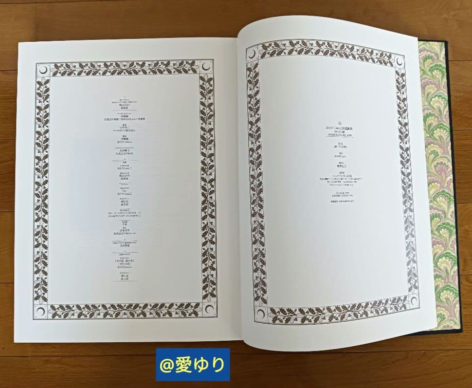 特大♦豪華限定♦羊革装版『きたのじゅんこ自選画集』天然宝石１５石装飾✨豪華附録付