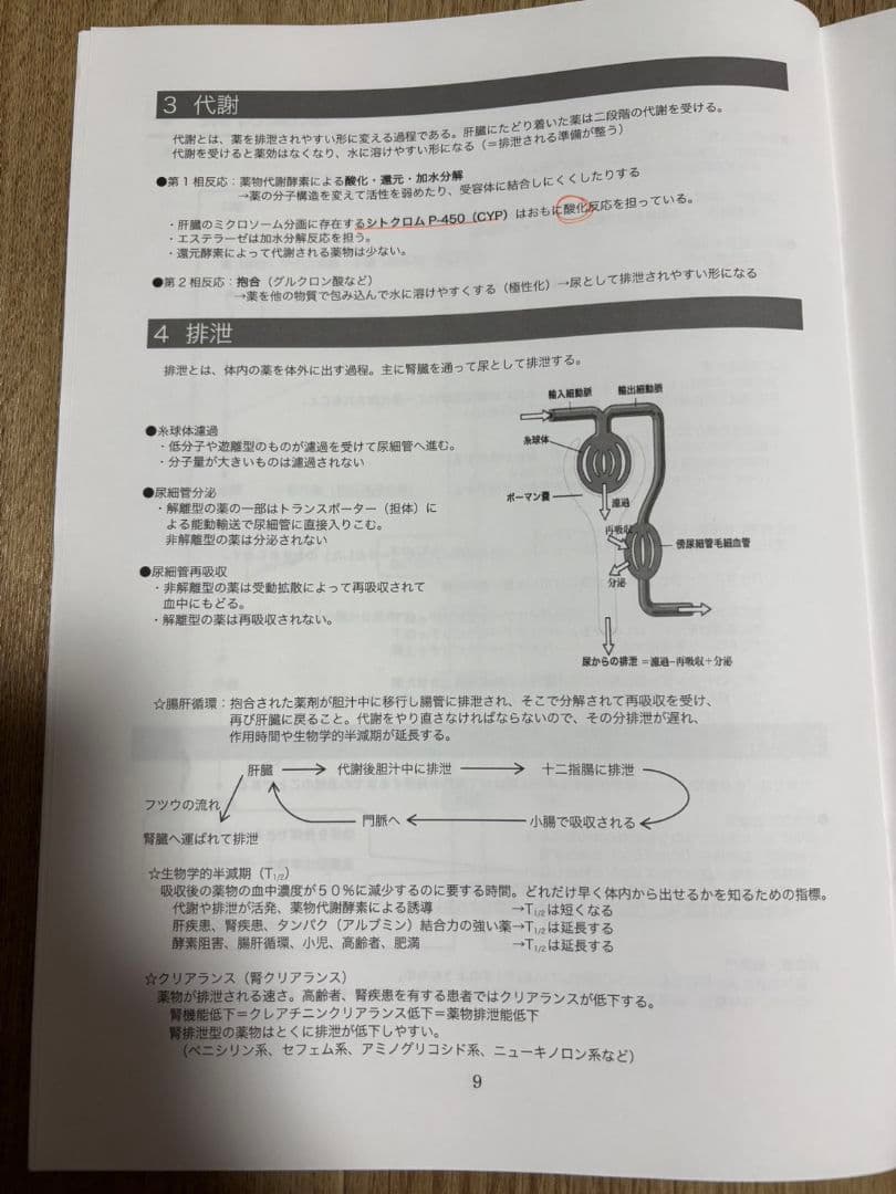 麻布デンタルアカデミー 歯科医師国家試験 ベーシック講座