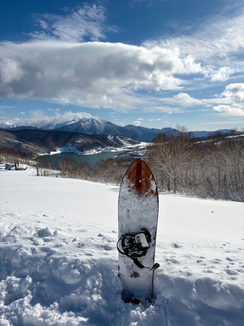 スノーボード GENTEMSTICK 25-26 BIG FISH OUTLINE CORE