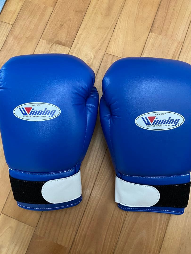 Winning ボクシンググローブ ソフトタイプ14 oz 青