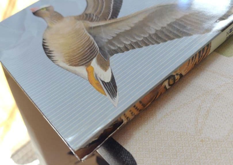 だれも知らない動物園　10巻セット付録付き