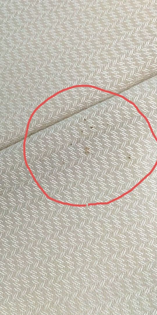 メンズティノラス ホワイト スリーピーススーツセット Mサイズ