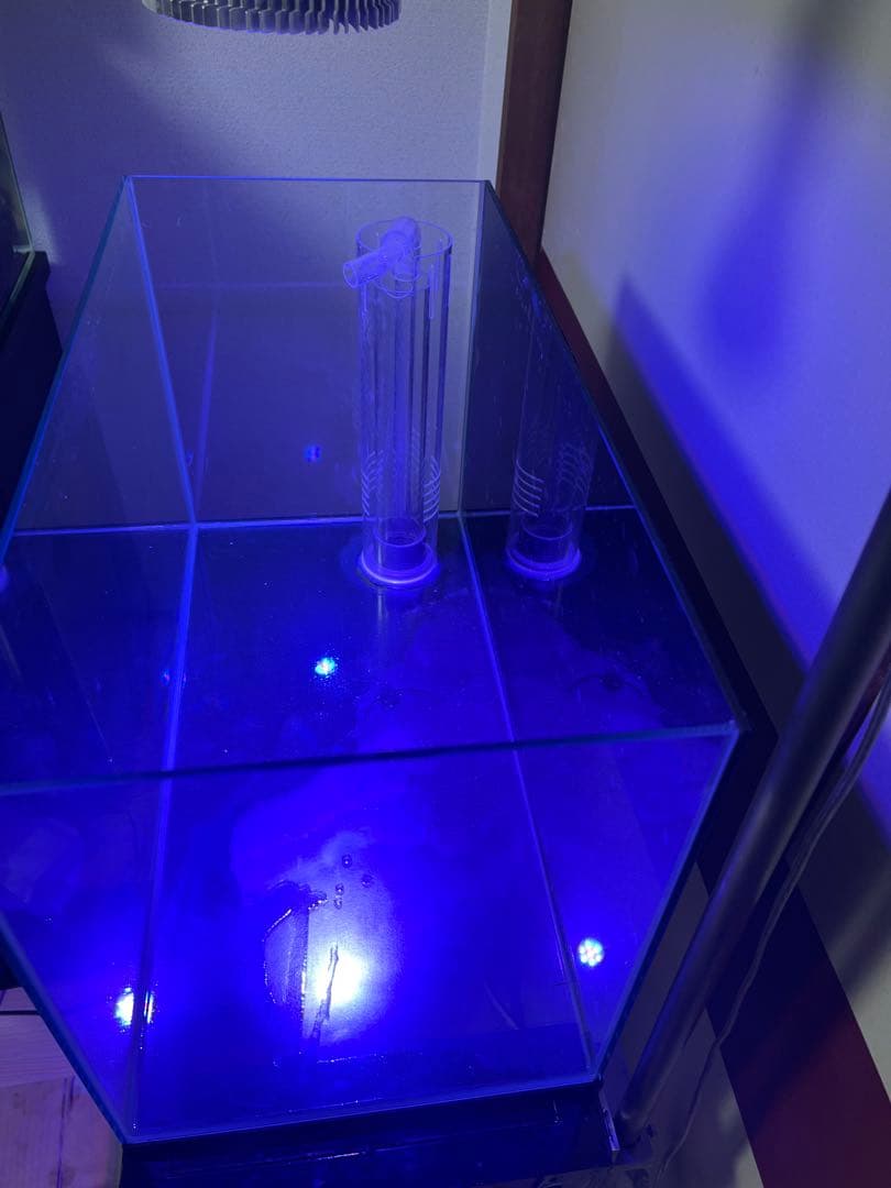 ‼️最終値下げ‼️オーバーフロー60cmガラス水槽フルセット