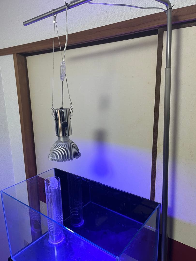 ‼️最終値下げ‼️オーバーフロー60cmガラス水槽フルセット