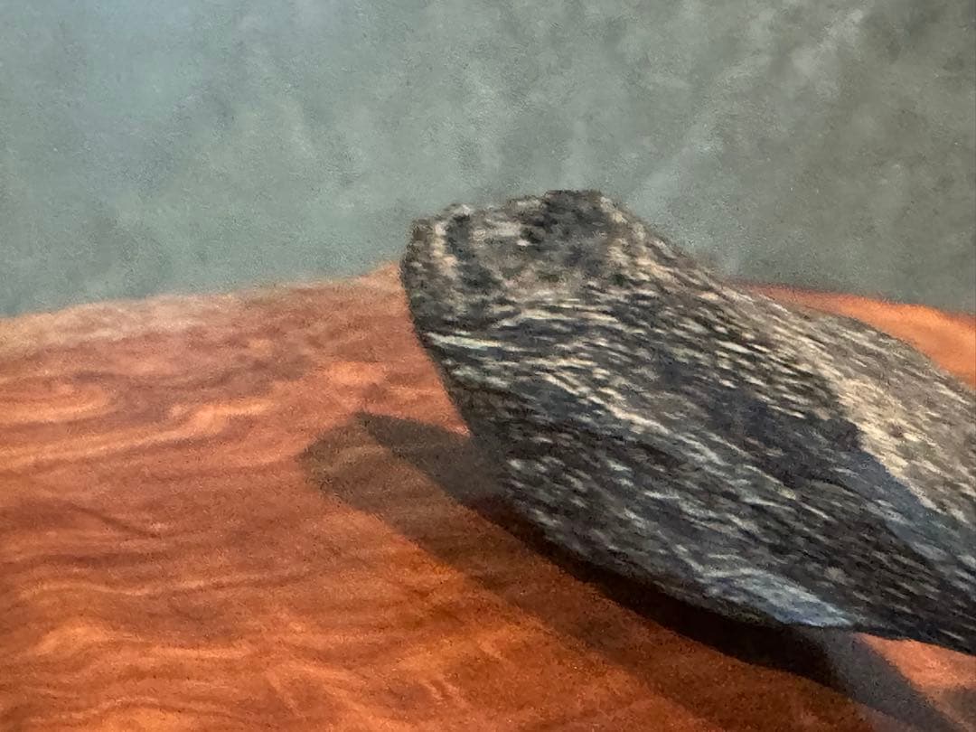 お香　沈香　カリマンタン島産　106g