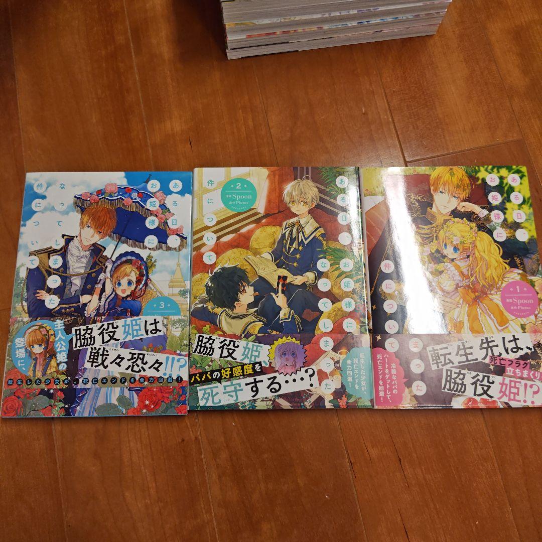 ある日、お姫様になってしまった件について 全12巻セット