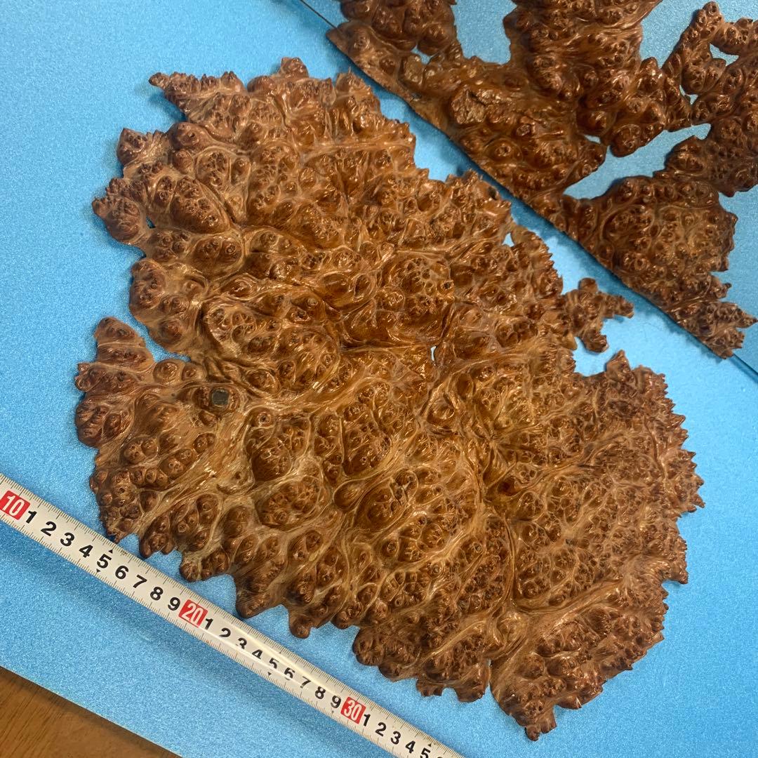 希少極上葡萄杢玉杢瘤バール材置物素材　2個セット