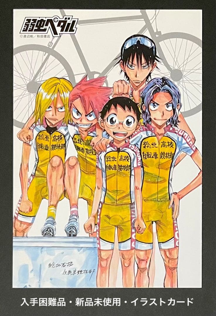 弱虫ペダルTVアニメ公式ファンブック 特典付き・初版・オマケ1冊付き