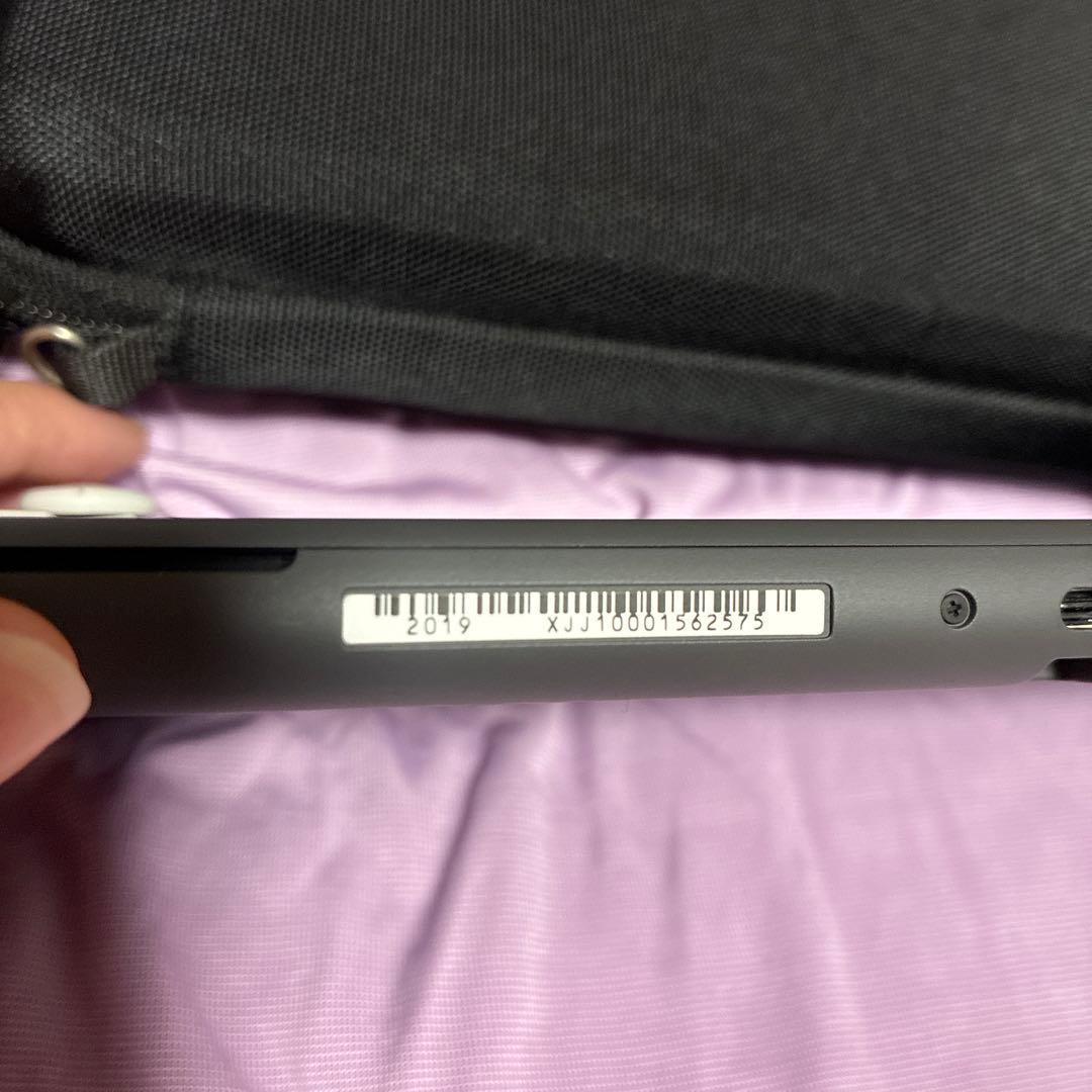 Nintendo Switch Lite グレー 2019