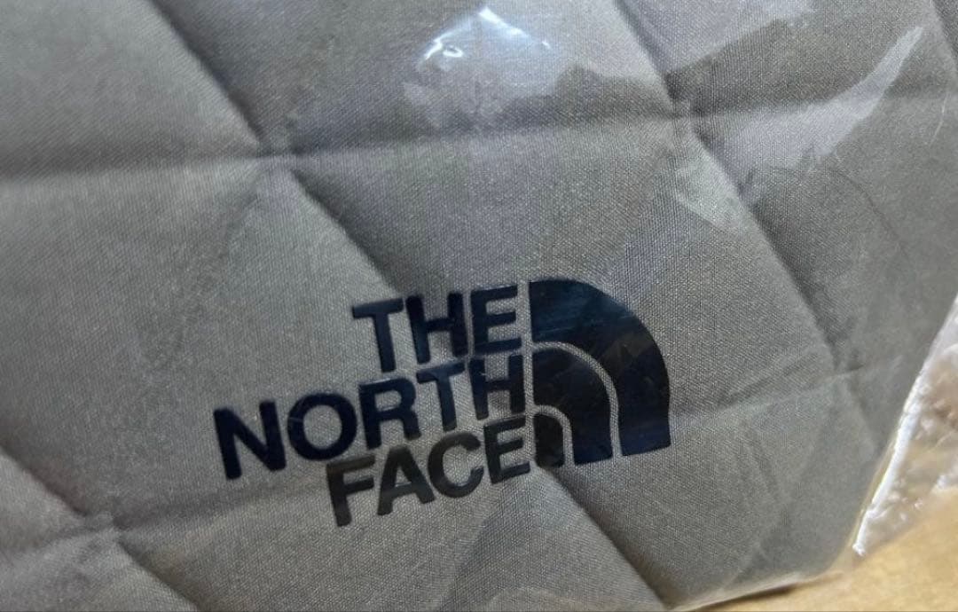 限定色　ノースフェイス ジオフェイスボックストートNM32355フォールンロック