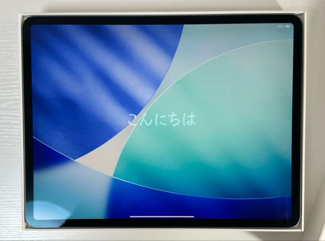 12.9インチiPad Pro (第四世代)512GB Pencil付