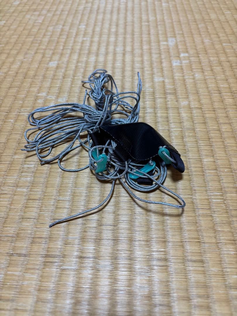 シックスムーンデザイン　ディシュップラスタープ