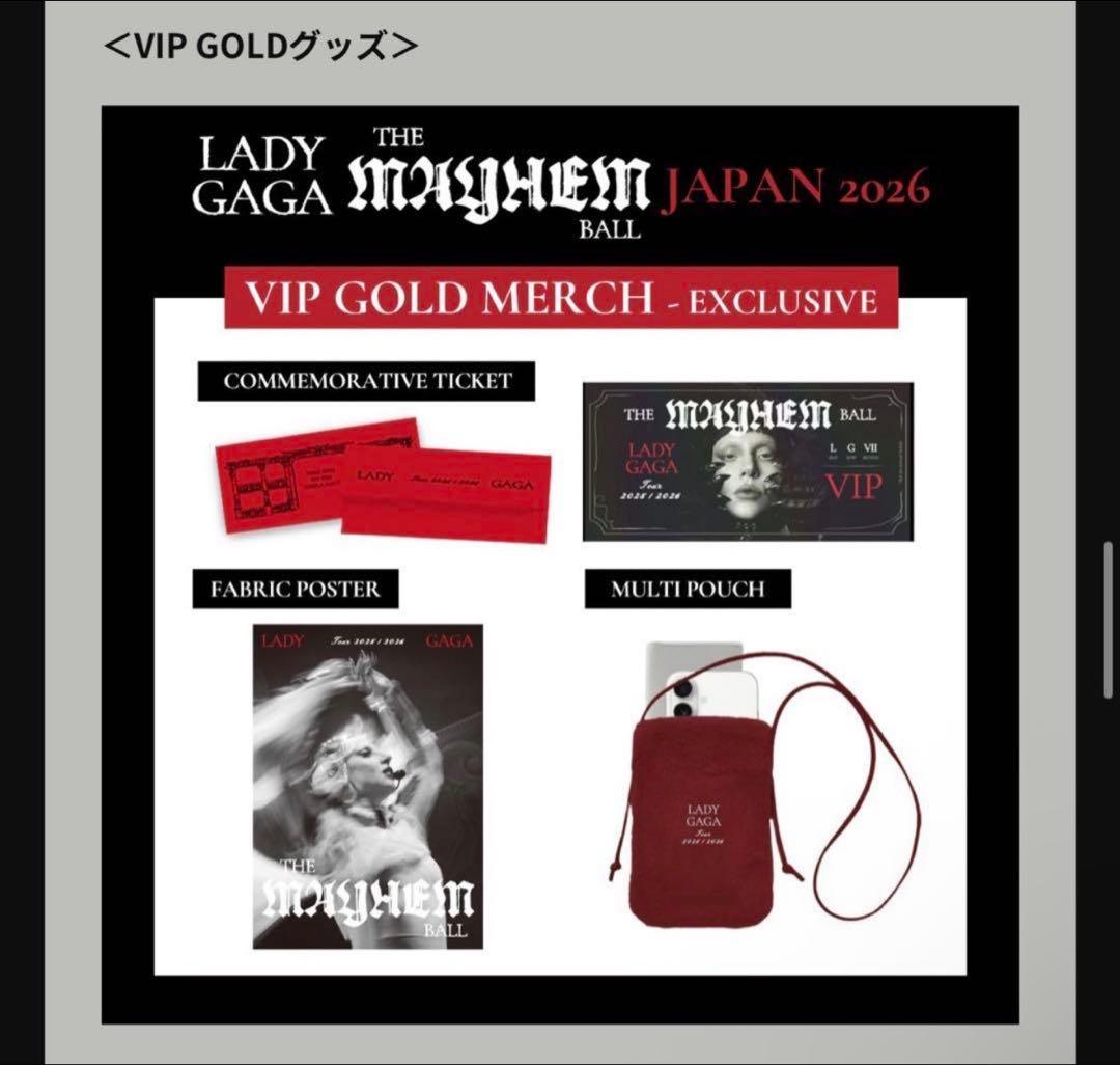 HYDEIST 81°Lady Gaga The MAYHEMvipグッズ
