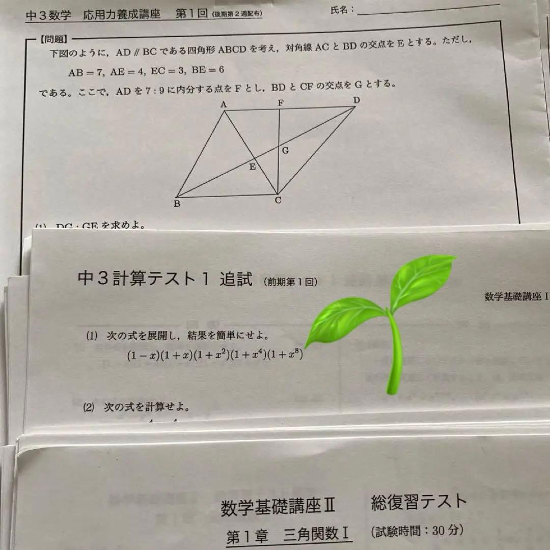 鉄緑会 中3 数学フルセット基礎講座Ⅱ 総復習テスト　入会テスト対策