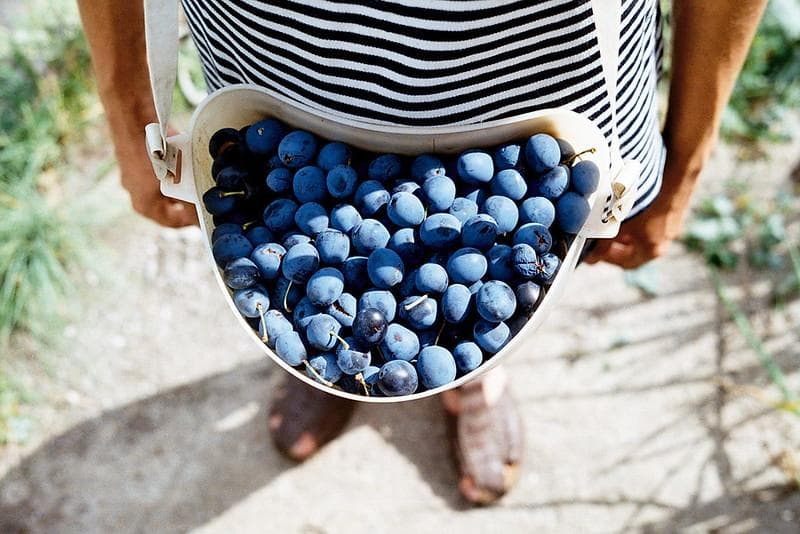 24　美品【希少】星ボケIndustar61 L/Z MC 50mm f2.8