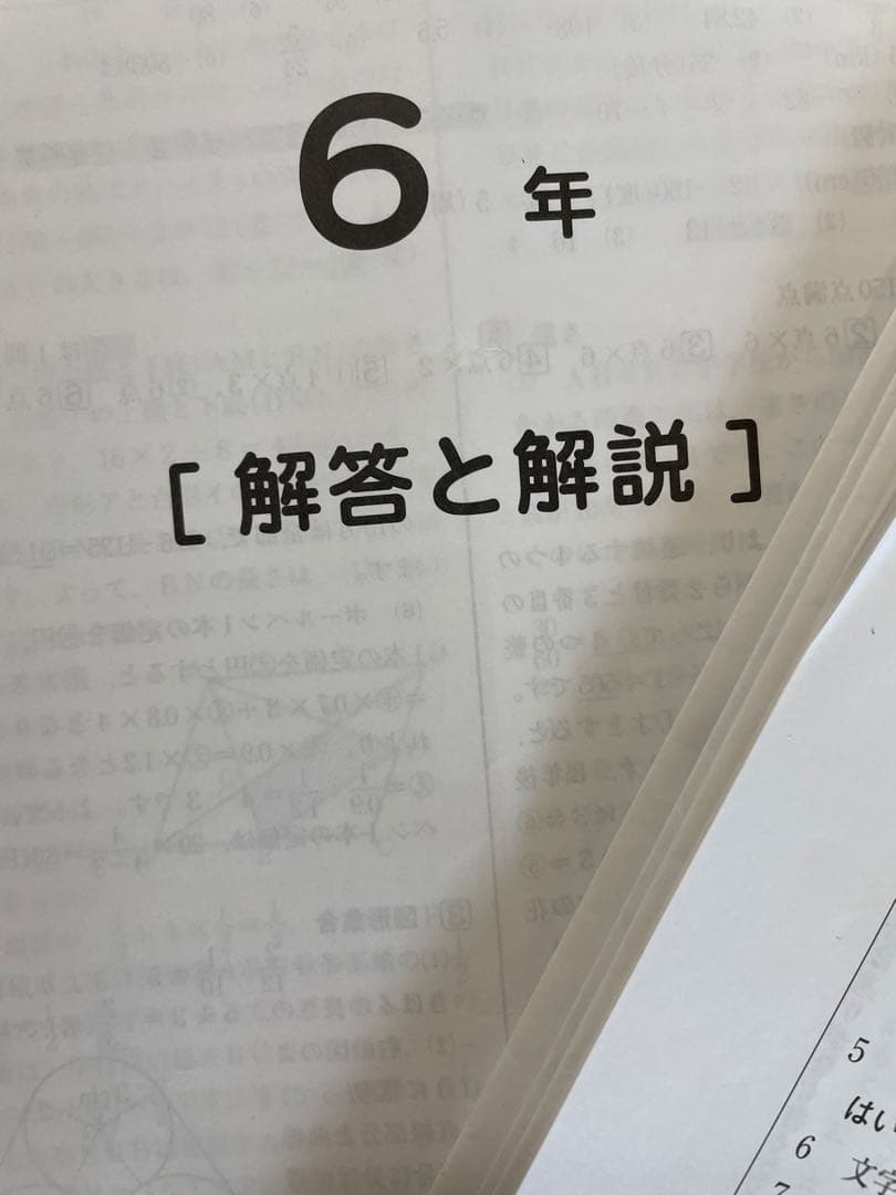 sapix 6年 全年テスト
