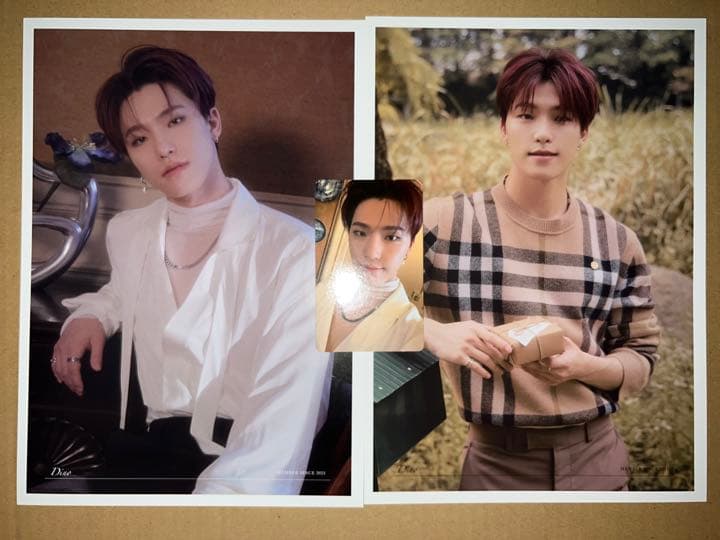 SEVENTEEN ディノ チャン セット