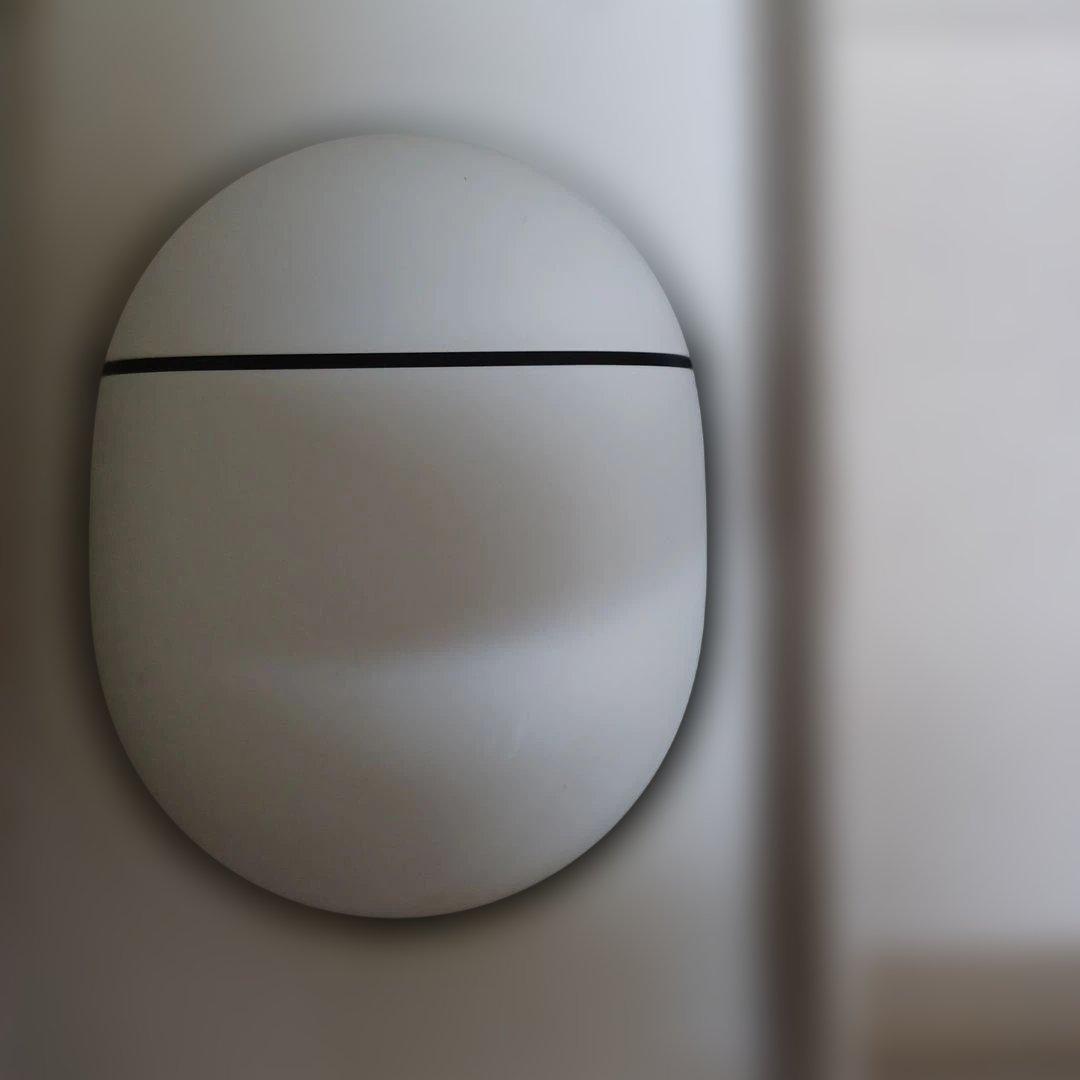 Google Pixel Buds Pro 2 レアーカラー