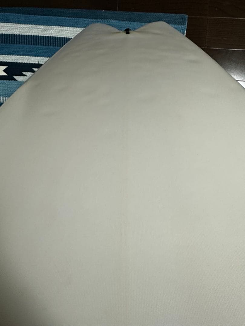 Rich Pavel FISH Rastovich 5’8 手渡し希望