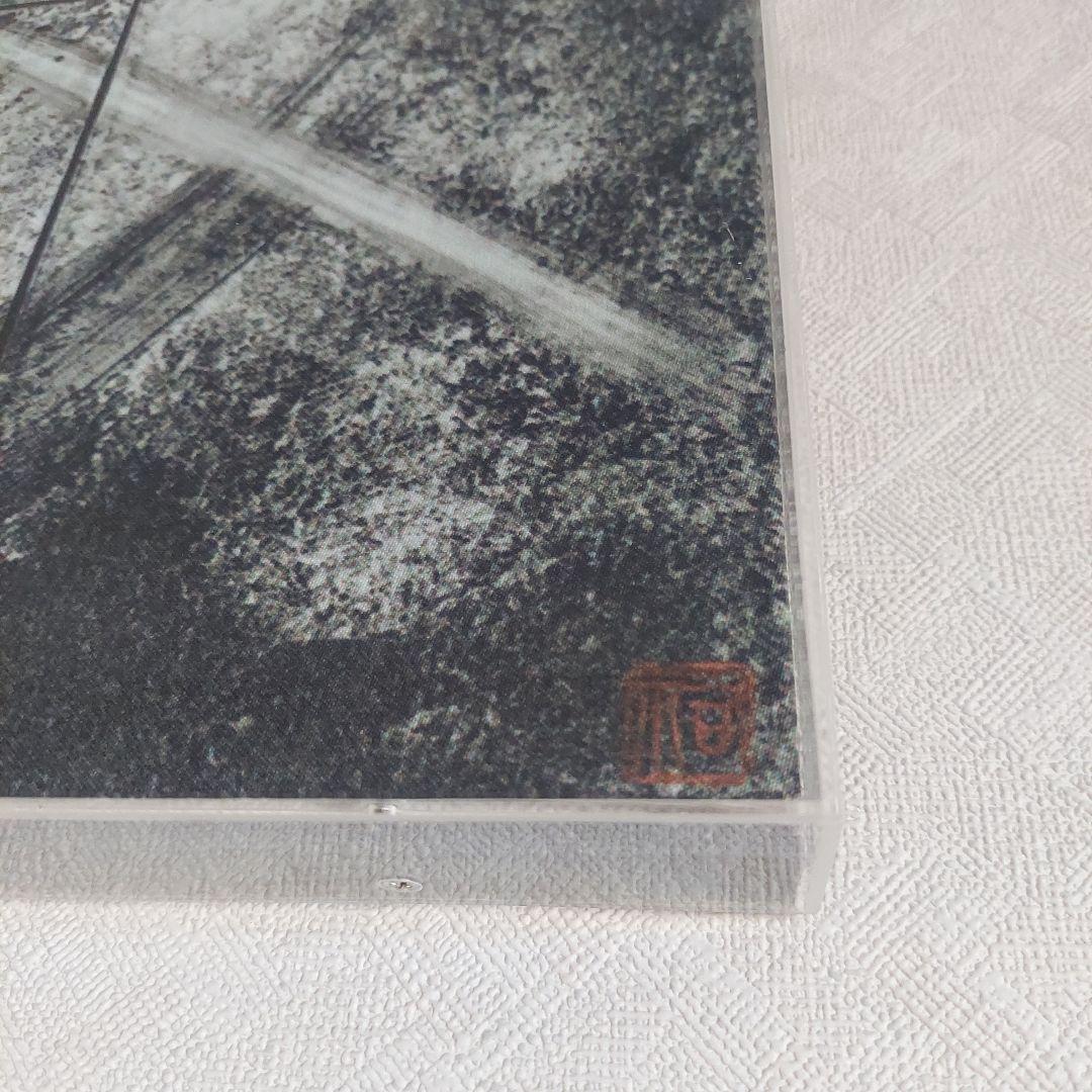 陶墨画　龍　西元祐貴