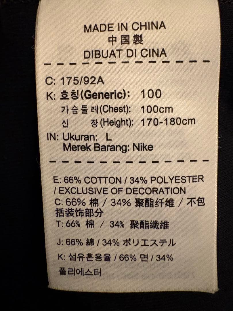 NIKE ナイキ　テックフリース　デストロイヤースタジャン　ブラックローズ