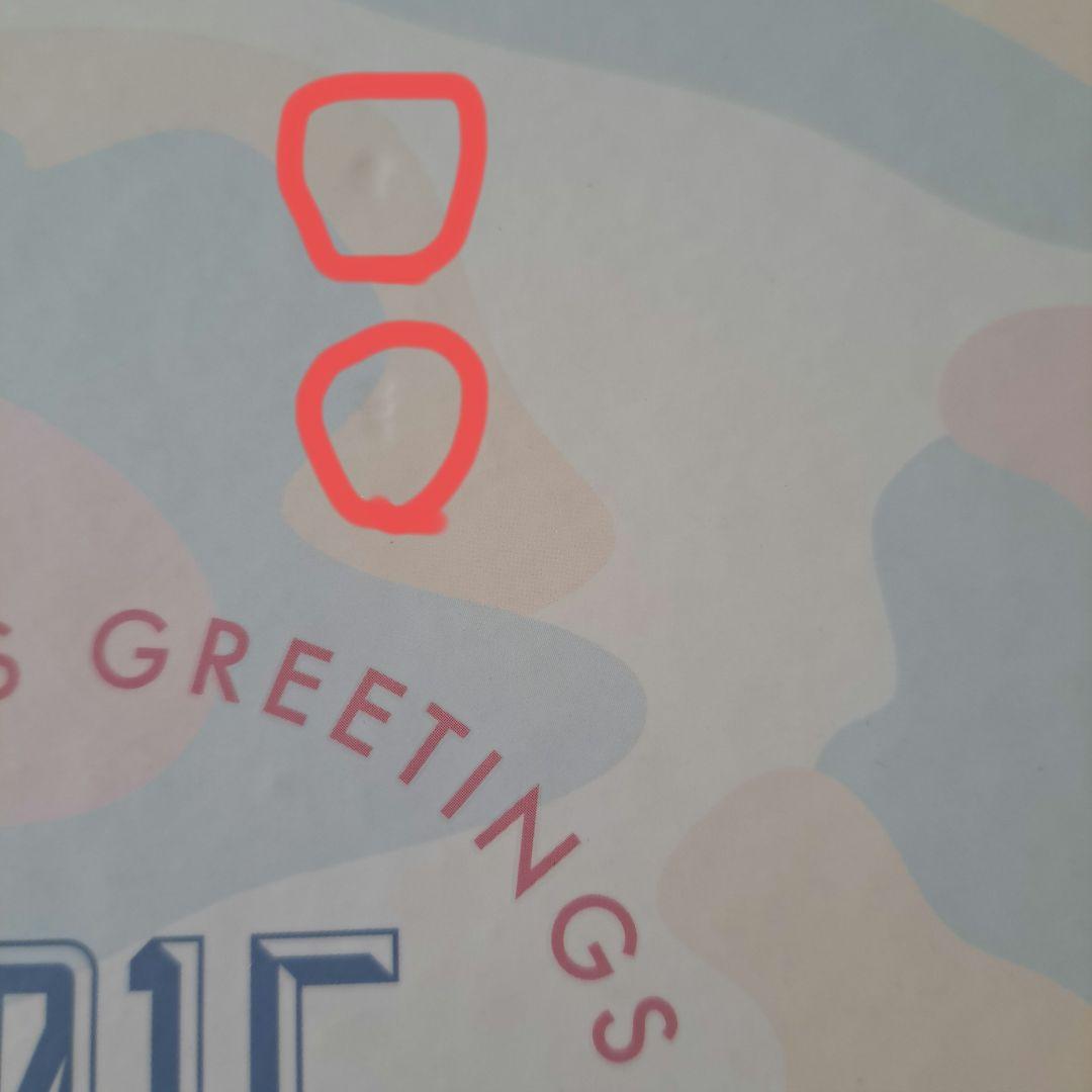 BTS SEASON'S GREETINGS シーグリ 2015