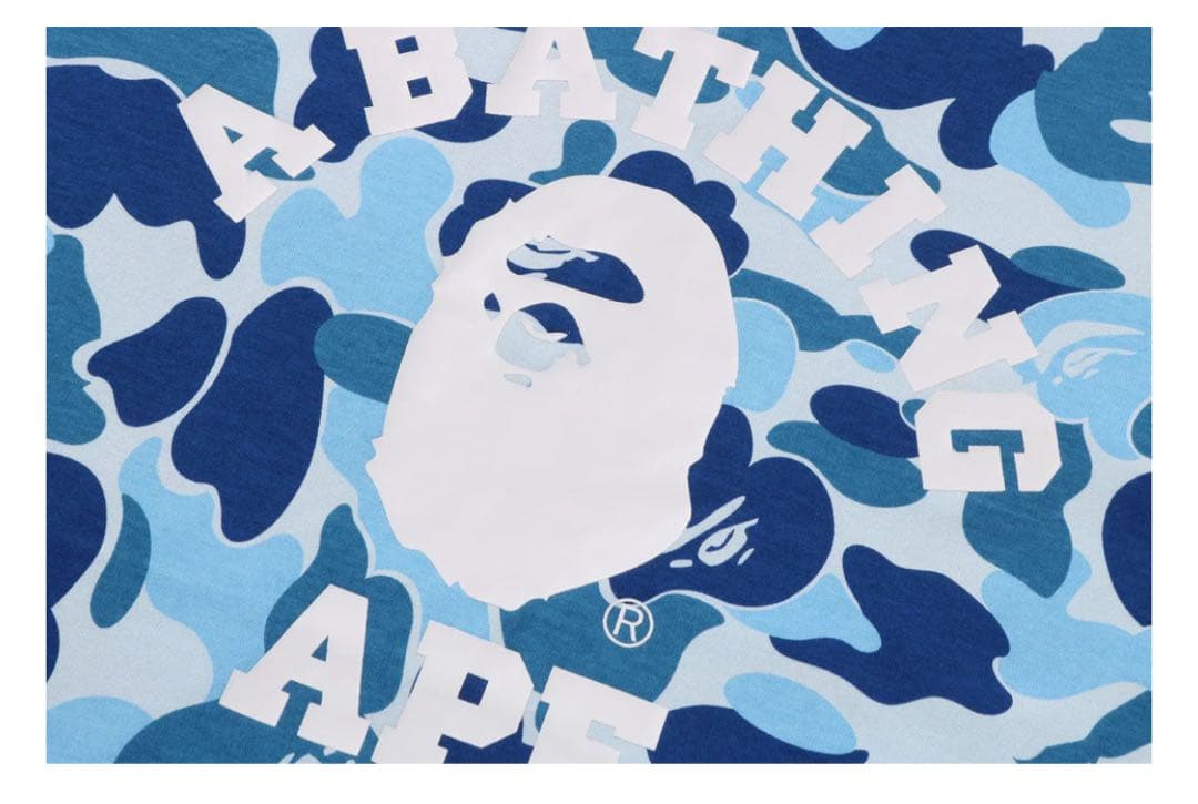 APE ABC CAMO COLLEGE LS TEE カモ　ロンT ブルー