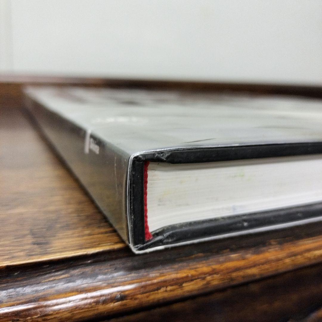 Giovanni Gastel Masks and Ghosts 洋書　大型本