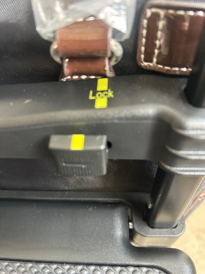 スワニーキャリーバッグLサイズ　イス付き