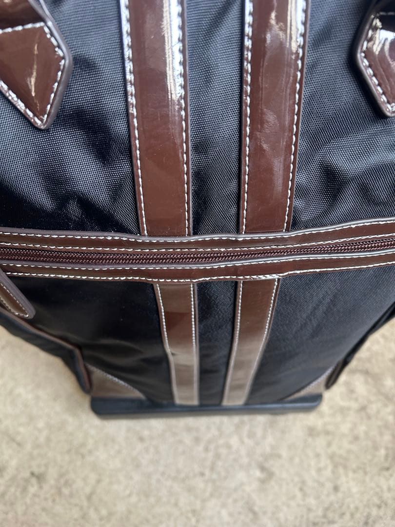 スワニーキャリーバッグLサイズ　イス付き